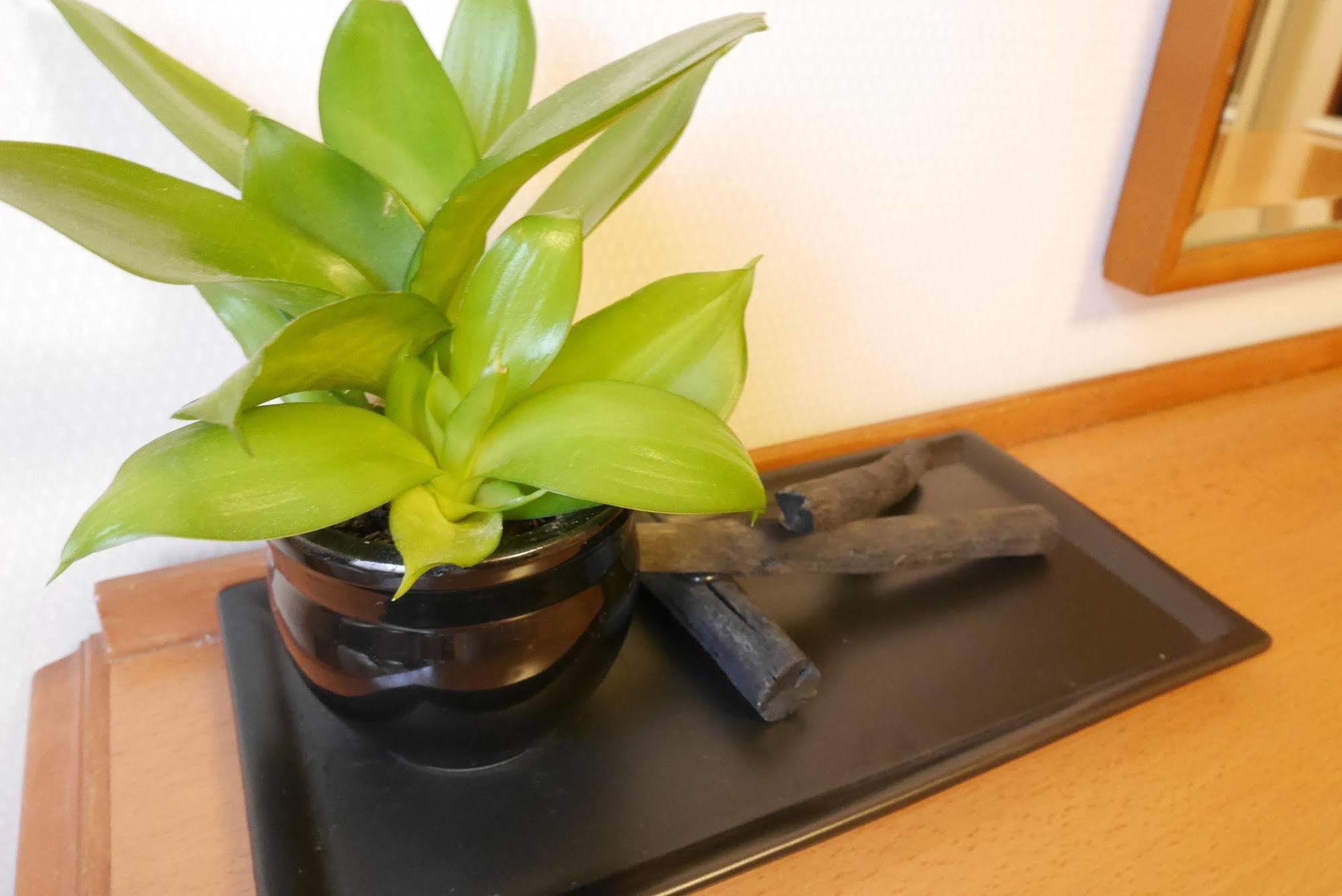 Hotel Yokohama Garden المظهر الخارجي الصورة